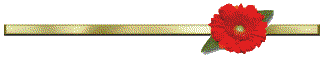 Gif 1 24
